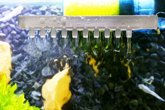 アクアリウムwebマガジン キワメテ！水族館のプレスリリース画像1