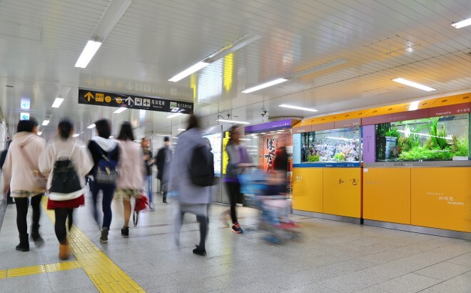 アクアリウムwebマガジン キワメテ！水族館のプレスリリース画像1