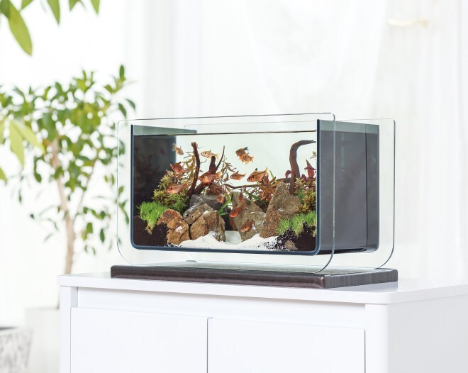 アクアリウムwebマガジン キワメテ！水族館のプレスリリース画像1