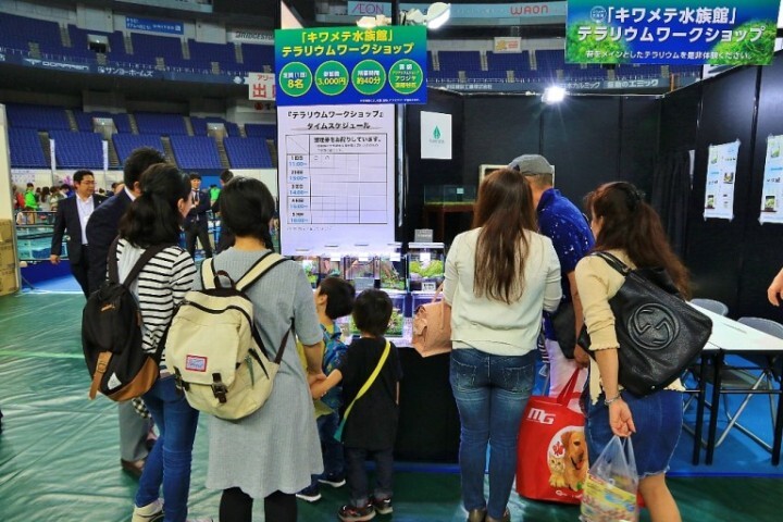 アクアリウムwebマガジン キワメテ！水族館のプレスリリース画像1
