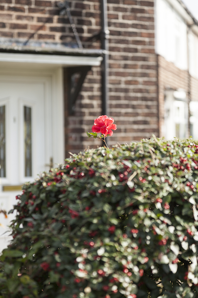 五割一分のプレスリリース