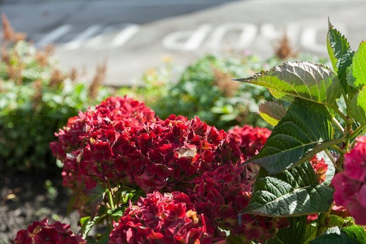 五割一分のプレスリリース画像3