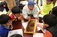 こどもハチミツカンパニー有限責任事業組合のプレスリリース画像3