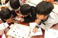 こどもハチミツカンパニー有限責任事業組合のプレスリリース画像4