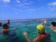 一般社団法人NOWSのプレスリリース