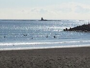 一般社団法人NOWSのプレスリリース画像1