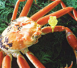 株式会社おとデパのプレスリリース