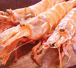 株式会社おとデパのプレスリリース画像2