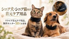 リブモ株式会社のプレスリリース画像1