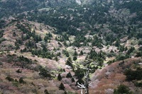 屋久島アウトドアガイド 島結のプレスリリース画像3