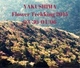 屋久島アウトドアガイド 島結のプレスリリース