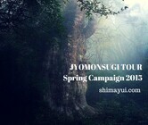 屋久島アウトドアガイド 島結のプレスリリース