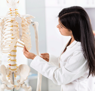 一般社団法人日本カイロプラクターズ協会のプレスリリース画像1