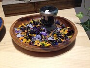 株式会社ソフトストーンズのプレスリリース画像4