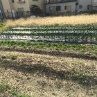 ブーランジェリーパン・パリッシュのプレスリリース画像3