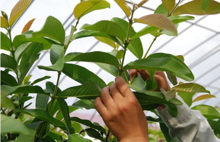 有限会社アフロディアのプレスリリース画像5