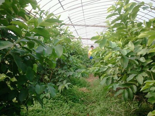 有限会社アフロディアのプレスリリース画像10