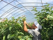 有限会社アフロディアのプレスリリース画像6