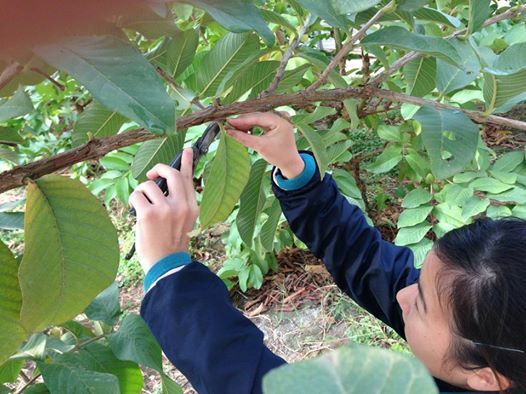 有限会社アフロディアのプレスリリース画像9