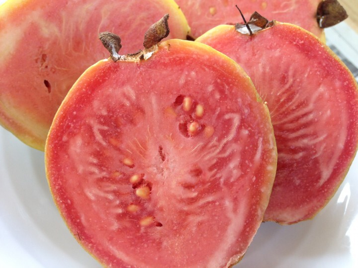 有限会社アフロディアのプレスリリース画像5