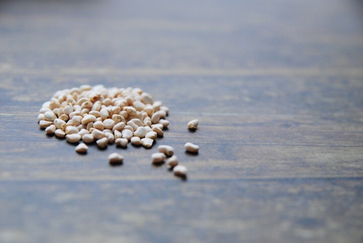 有限会社アフロディアのプレスリリース画像6