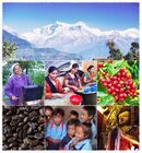 エベレストレードのプレスリリース画像10