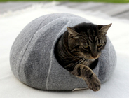 株式会社Wa-lifeのプレスリリース画像9