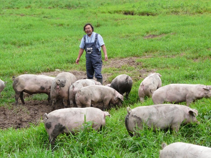 株式会社エルパソのプレスリリース画像3