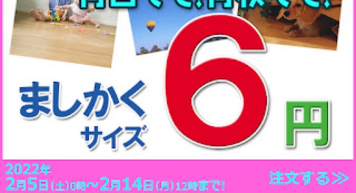 バレンタインに ましかく写真 で贈ろう Abcデジカメプリント 株式会社 クロスワンのプレスリリース バレンタインに ましかく写真 で贈ろう Abcデジカメプリント 株式会社 クロスワンのプレスリリース