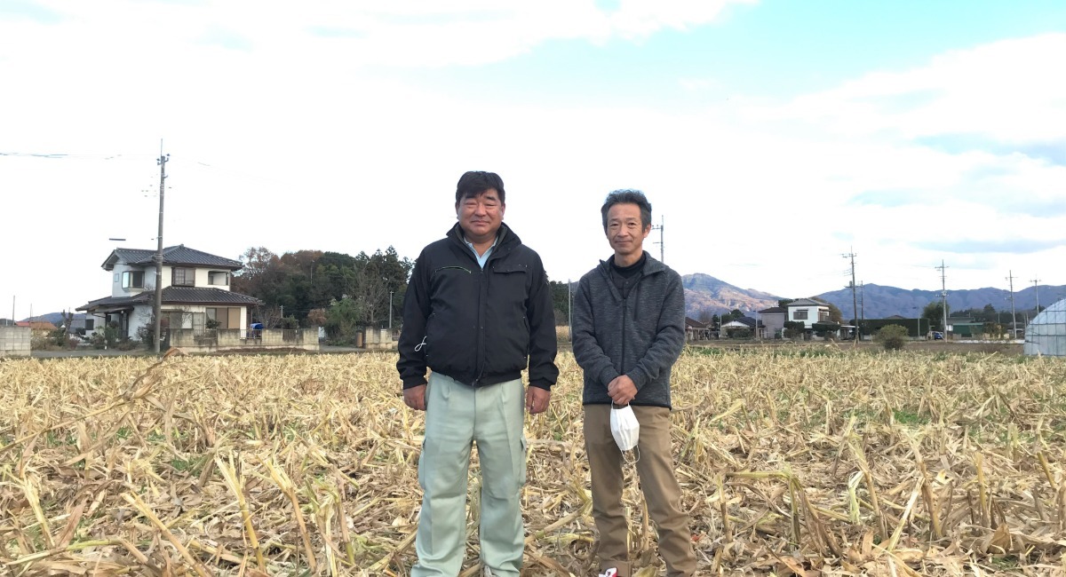 アイキャッチ画像