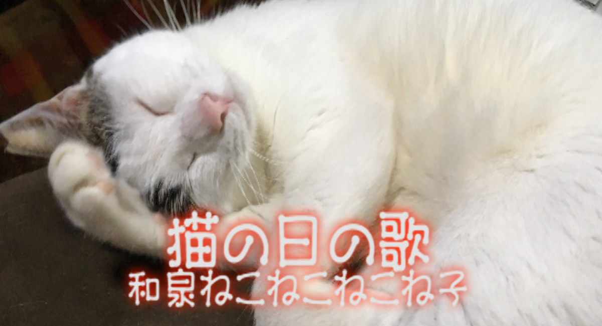 猫の日の歌 プロモを公開 可愛い猫ちゃん大集合 合同会社希エンターテイメントのプレスリリース