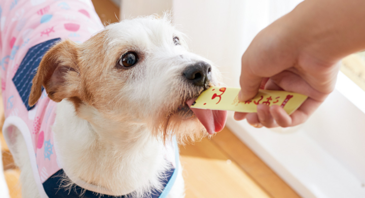 愛犬用ペーストおやつ新発売 国産 無添加の Sippole しっぽる 犬おやつ わんみぃ で 愛犬も飼い主さまも笑顔でハッピーに 新日本カレンダー株式会社のプレスリリース