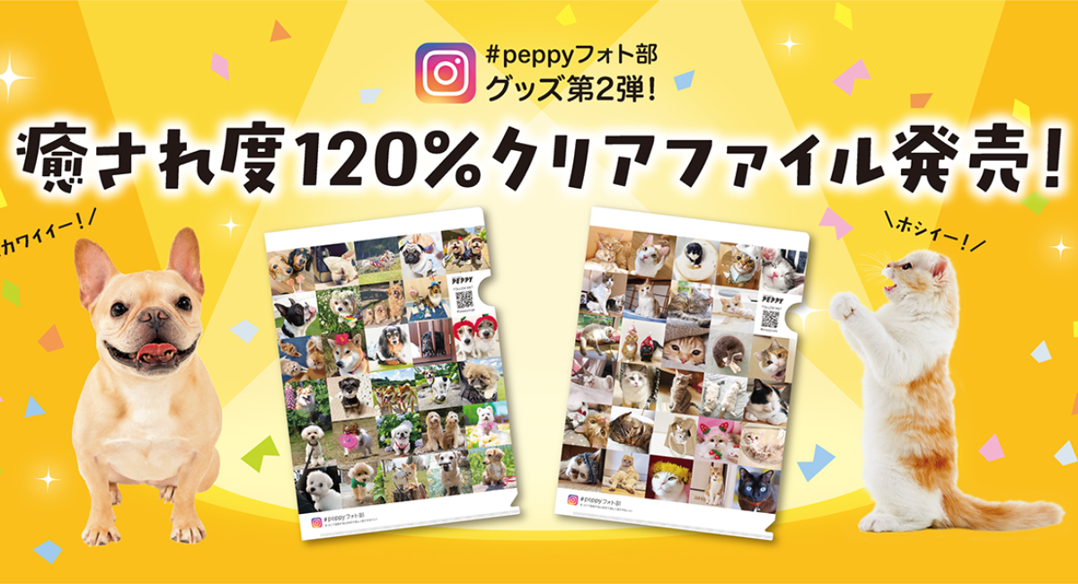 インスタグラム応募数11 772件 愛犬や愛猫のお写真で作られた 312頭のわんにゃんクリアファイル が新発売 新日本 カレンダー株式会社のプレスリリース