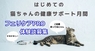 有限会社ケイカンパニーのプレスリリース4