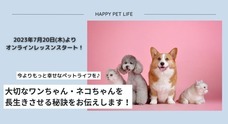 有限会社サンドラのプレスリリース