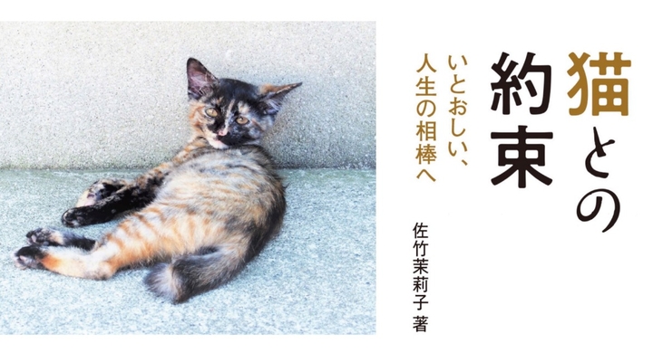 俺たち 死ぬまで親友だぜ もうどこにもやらないよ さよなら きっとまた会おうね 迎えた保護猫たちと交わした しあわせの 約束 17の実話集 辰巳出版株式会社のプレスリリース 俺たち 死ぬまで親友だぜ もうどこにもやらないよ さよなら きっとまた会おうね 迎えた保護猫たちと交わした しあわせの 約束 17の実話集 辰巳出版株式会社のプレスリリース