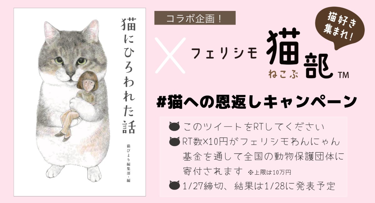 猫への恩返しキャンペーン】辰巳出版『猫にひろわれた話』とフェリシモ