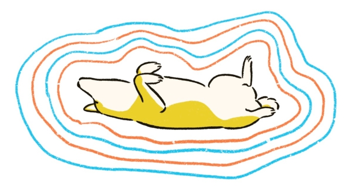 Snsで話題 愛犬家注目イラスト作品 待望の書籍化 辰巳出版株式会社のプレスリリース Snsで話題 愛犬家注目イラスト作品 待望の書籍化 辰巳出版株式会社のプレスリリース