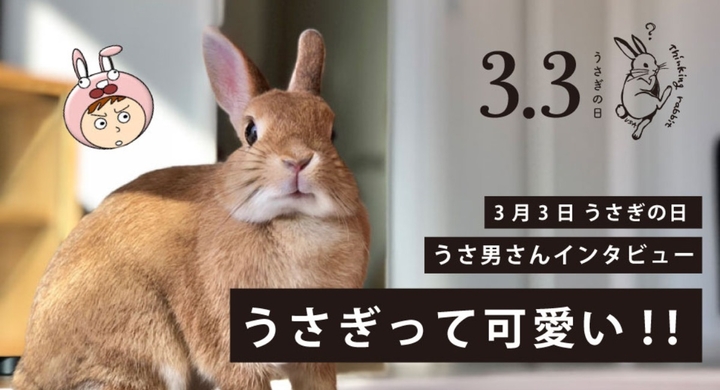 うさぎって可愛い 3月3日うさぎの日を記念してsnsで人気のうさ男と小さいふがコラボ特別インタビュー 株式会社ガッツのプレスリリース うさぎって可愛い 3月3日うさぎの日を記念してsnsで人気のうさ男と小さいふがコラボ特別インタビュー 株式会社ガッツのプレスリリース