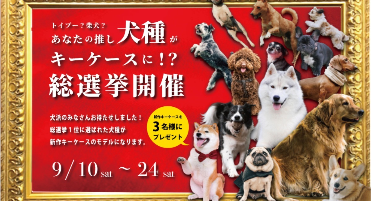 アイキャッチ画像