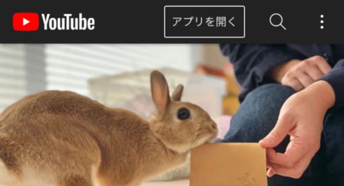 3月3日はウサギの日 Youtubeで人気のうさぎのウサちゃんがモデルになってブランドとコラボ 株式会社ガッツのプレスリリース