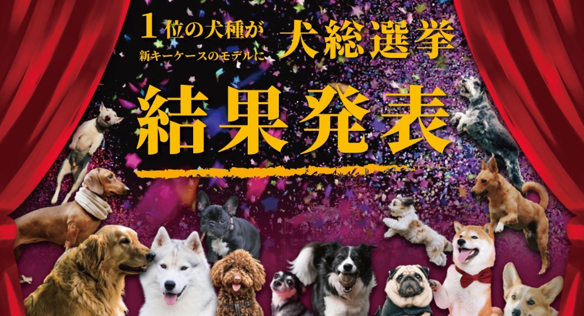 アイキャッチ画像