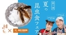 株式会社 亜細亜TokyoWorldのプレスリリース7