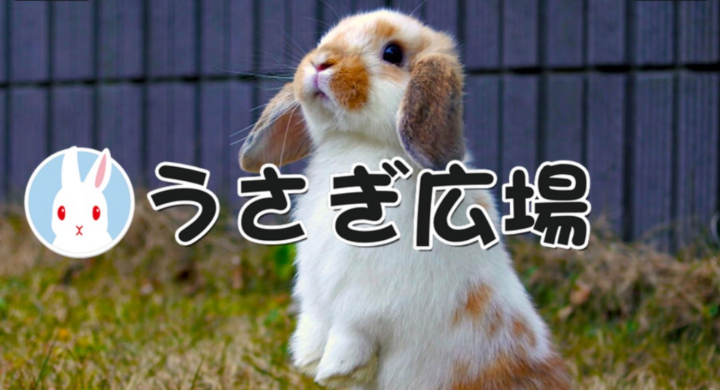 コロナ禍対策 うさぎ好き向けに うさぎ専門店を無料prできます うさぎカフェ等を うさぎ写真とともにアプリで自然に紹介いただけます 秋田 潤のプレスリリース コロナ禍対策 うさぎ好き向けに うさぎ専門店を無料prできます うさぎカフェ等を うさぎ写真とともにアプリで自然に紹介いただけます 秋田 潤のプレスリリース