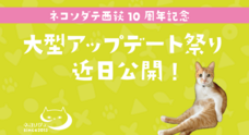ネコソダテ合同会社のプレスリリース
