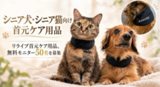リブモ株式会社のプレスリリース