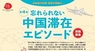 日本僑報社のプレスリリース5