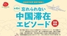 日本僑報社のプレスリリース6