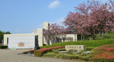 舞鶴市のプレスリリース1