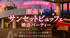 有限会社　ビットシステムのプレスリリース